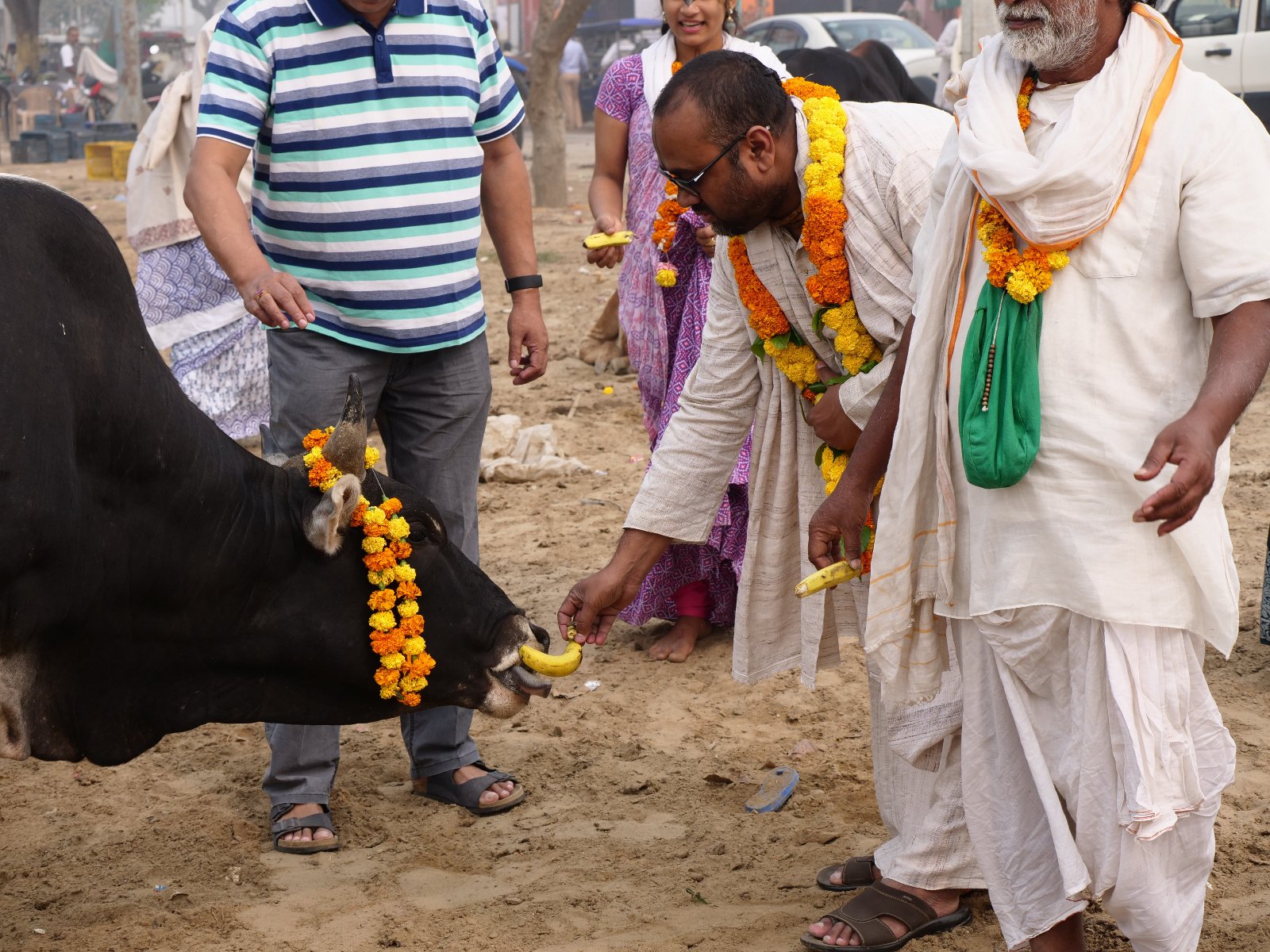  156 Gopashtami Radha kunda Govardhan 19.11.04